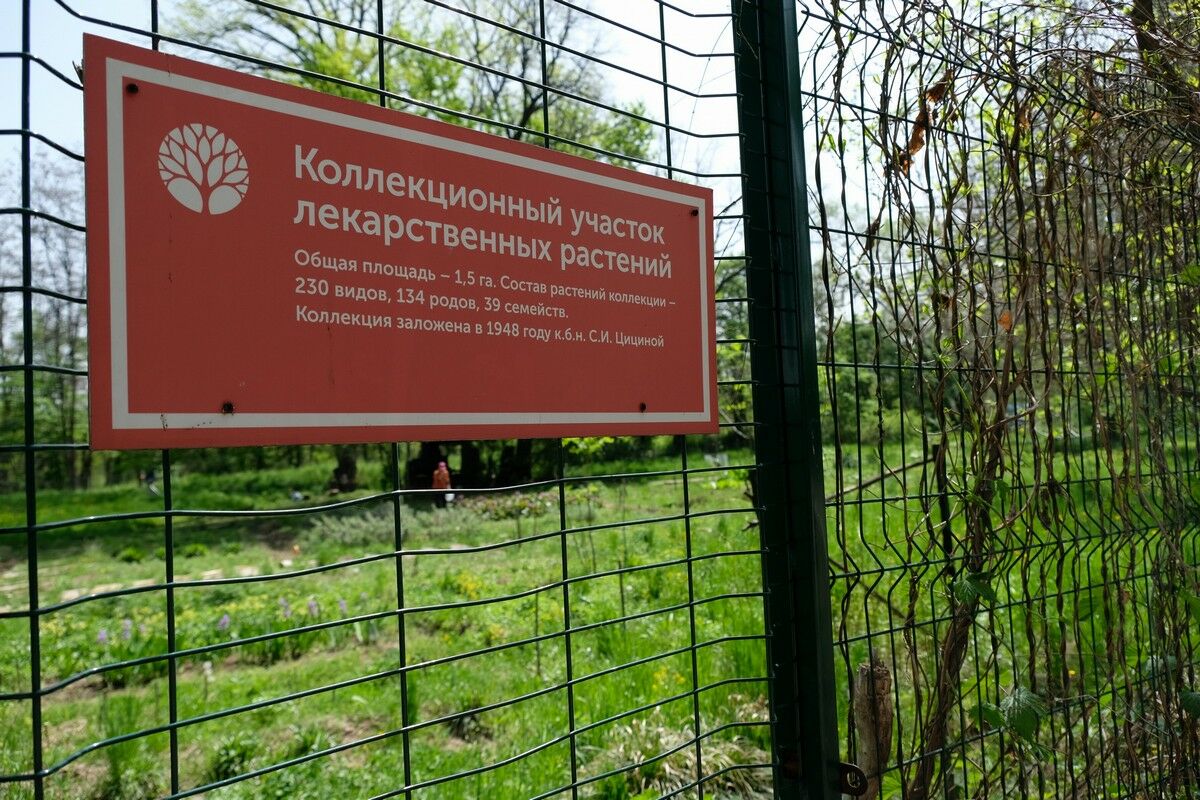 То берёзка, то рябина... – Фото №16