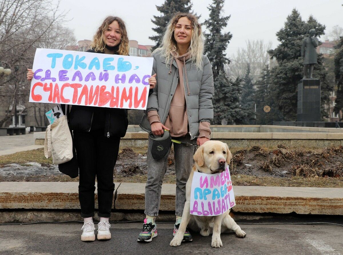 Козявки чёрные и воздух серый – Фото №4