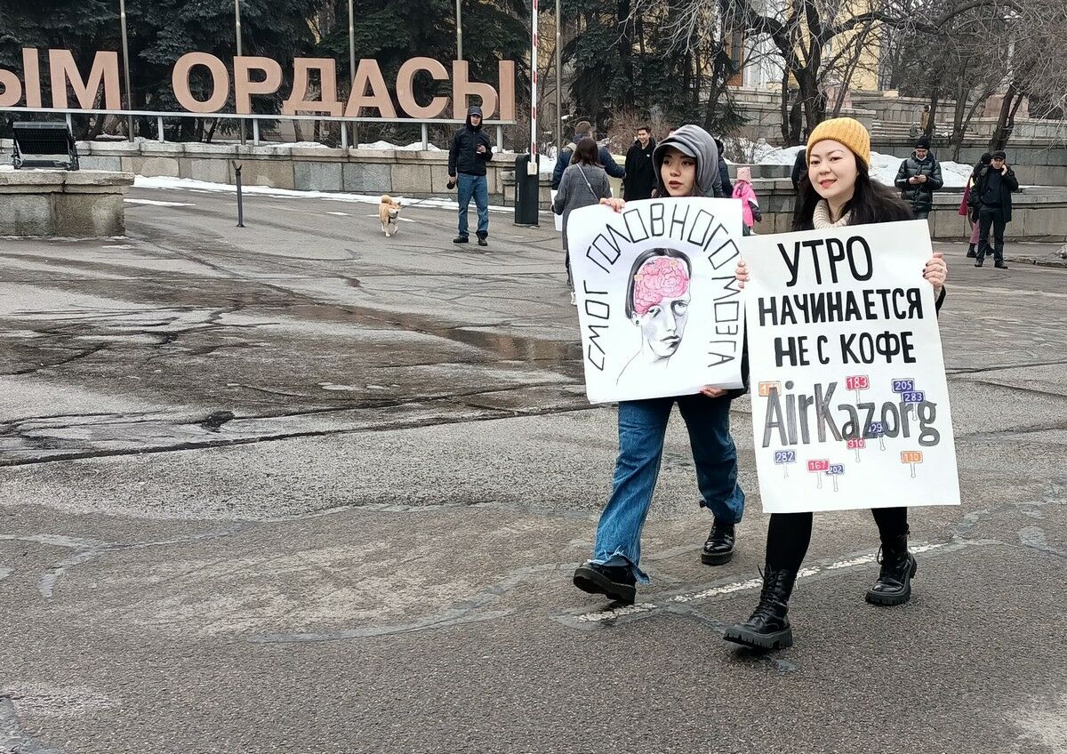 Козявки чёрные и воздух серый – Фото №11