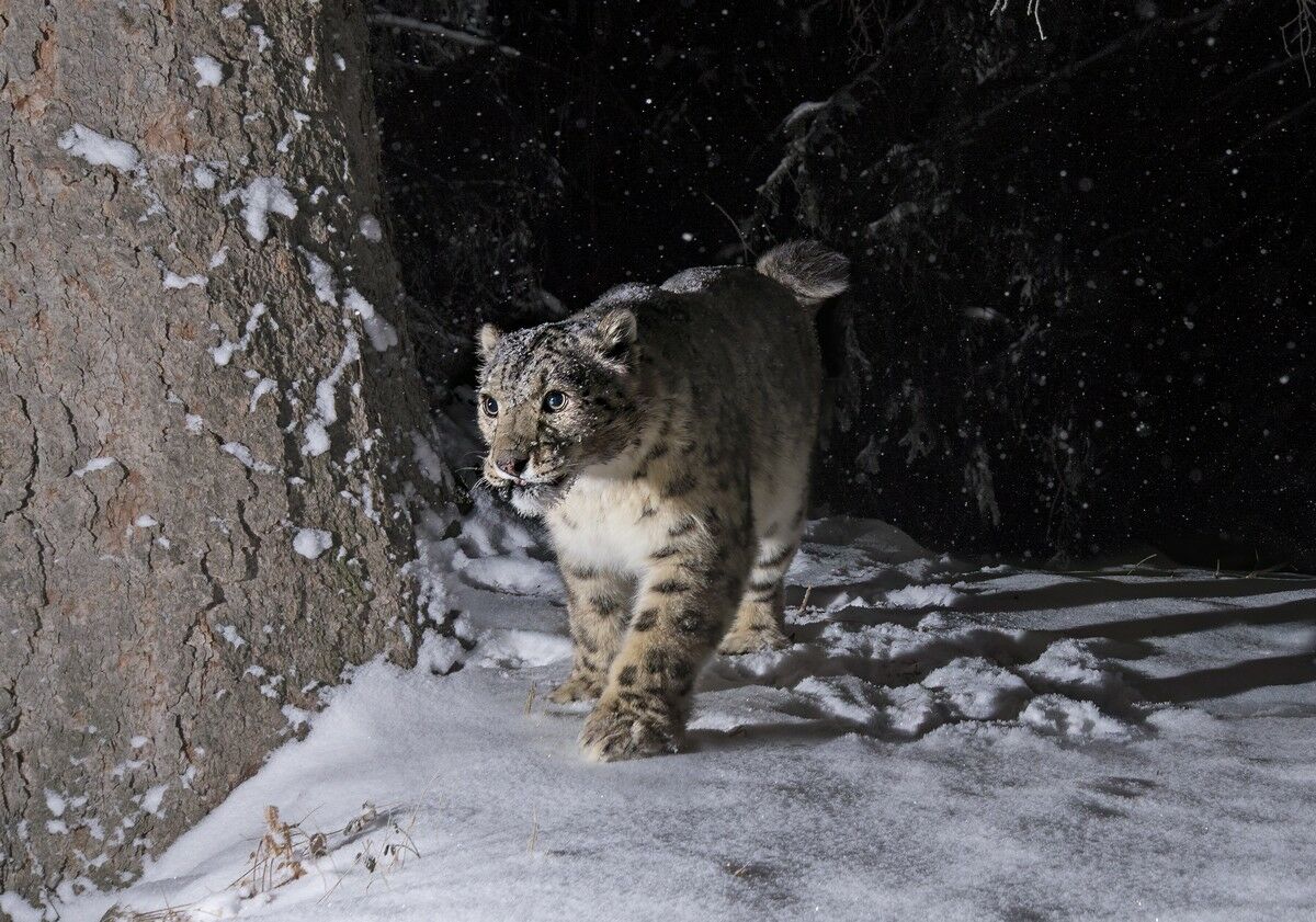 “Иначе я бы инфаркт получил…” – Фото №5