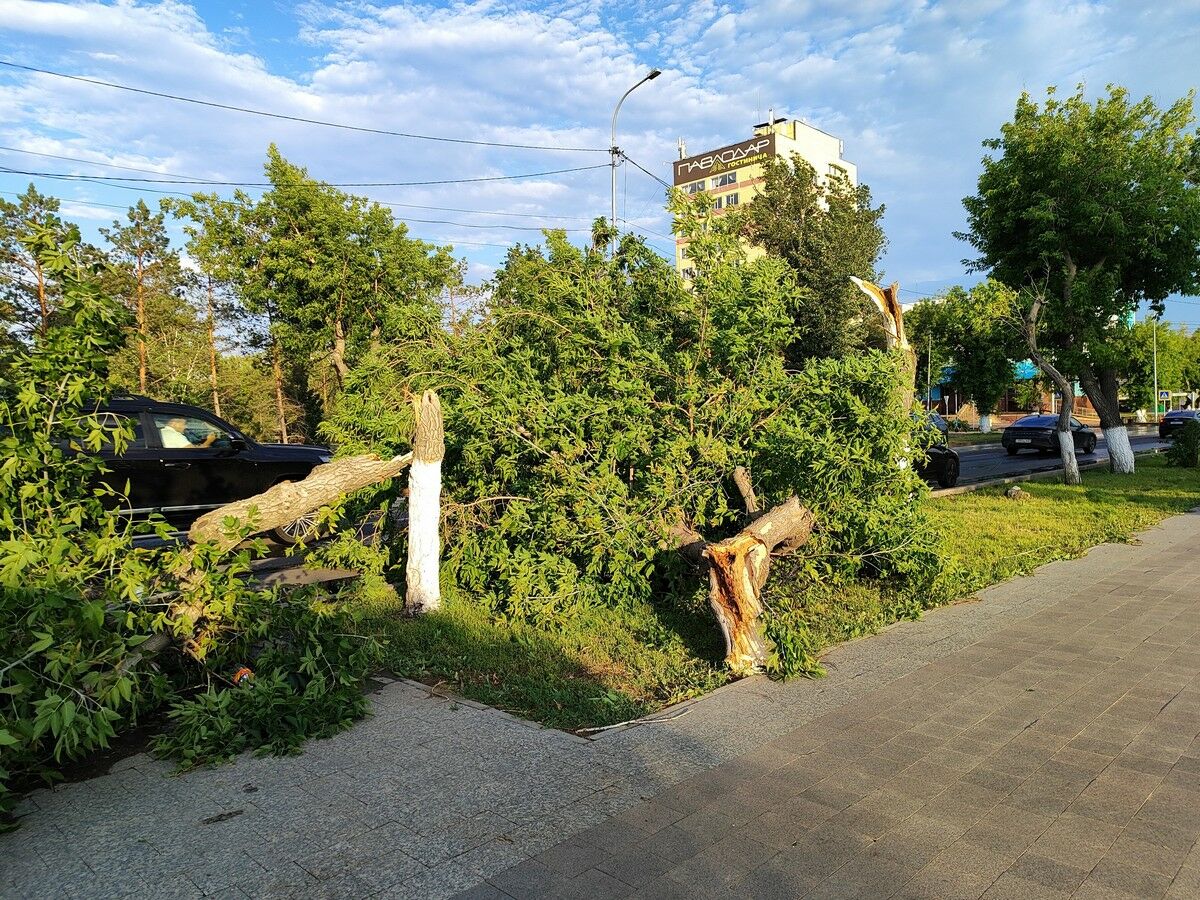 Совсем взбесилась стихия… – Фото №6