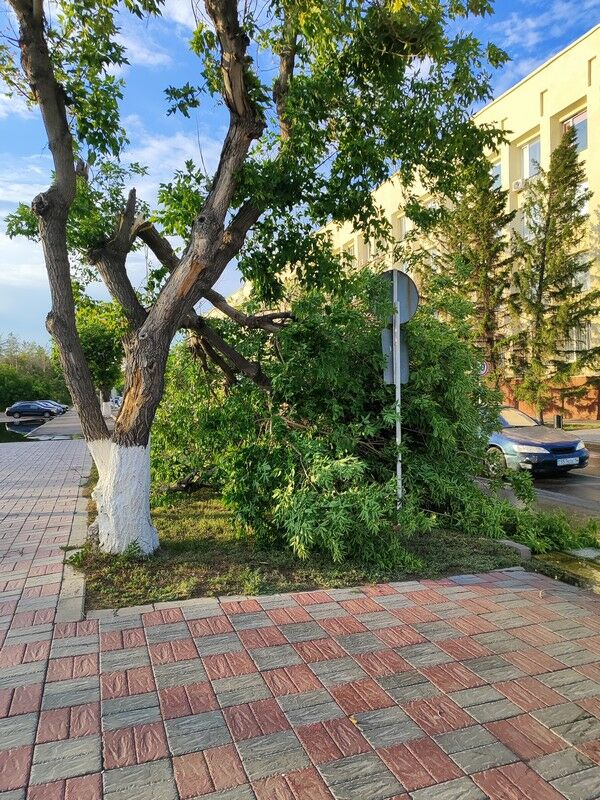 Совсем взбесилась стихия… – Фото №1