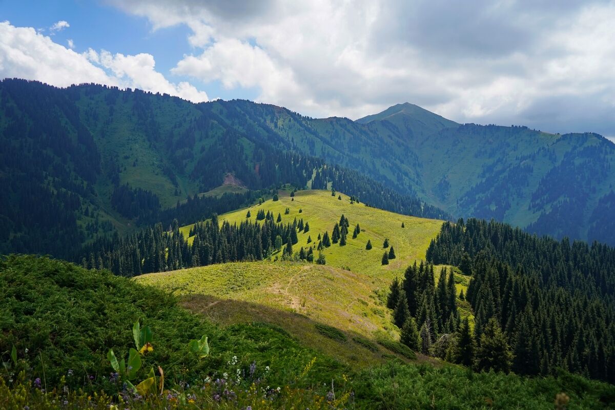 По дороге с облаками – Фото №10
