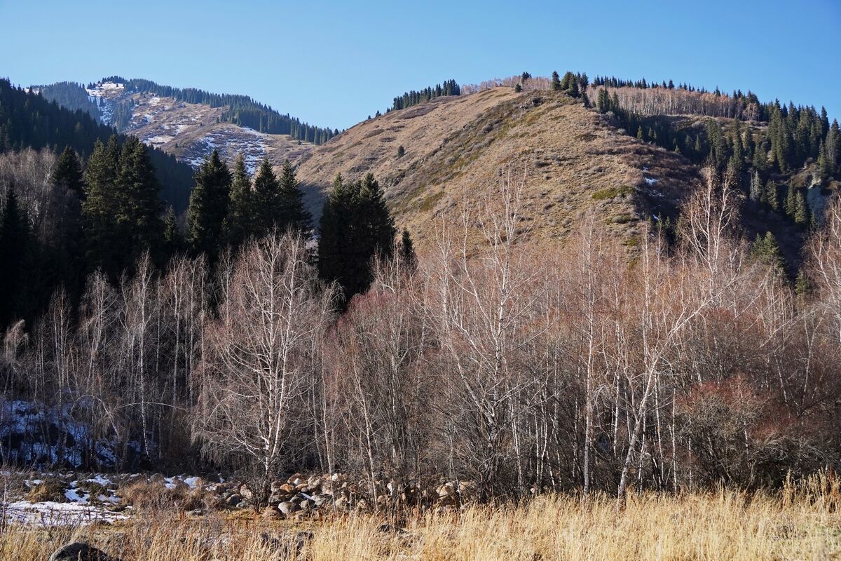 Хранитель гор и леса – Фото №10