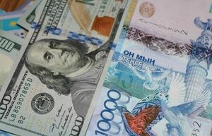 В какой валюте лучше хранить сбережения, рассказал глава МНЭ РК