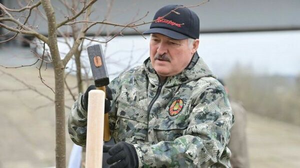 На революционеров не похожи
