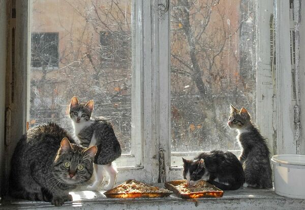 Всё живое