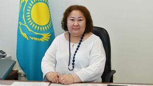 Вице-министр торговли и интеграции ответила на запрос