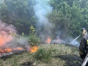 С 14 работниками лесничеств потеряна связь в районе крупного лесного пожара в области Абай