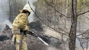 Мировые лидеры передают соболезнования в связи с гибелью людей в пожарах области Абай