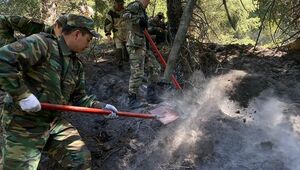 Тление торфа ликвидировали в горной труднодоступной местности Алматинского заповедника