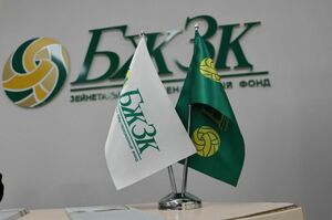 Вложат и приумножат?