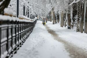 Снегопады ожидаются в ближайшие трое суток в ряде регионов Казахстана