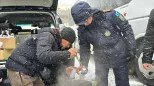 Накрыло по полной