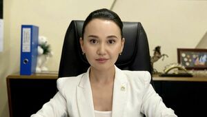 От хищений до налогов