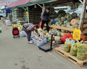 Посредник из могикан