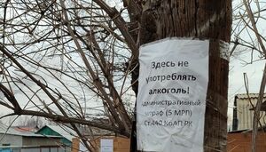 Ни капли в рот