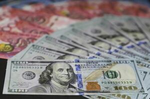 Экспорт услуг Казахстаном может вырасти к 2030 году к $3 млрд – Кушукова