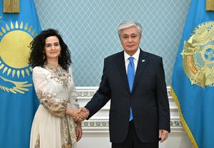 Глава государства принял исполнительного директора Зеленого климатического фонда