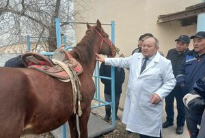 Масштабное обновление