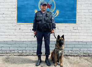Не отведали кашу из топора