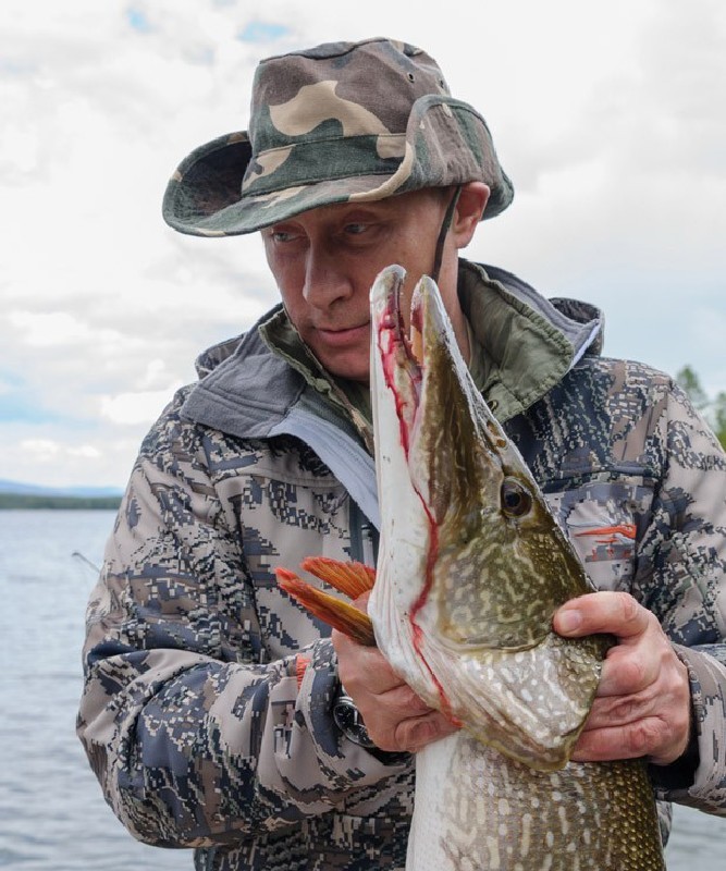 В. В. ПУТИН и щука... В. В. ПУТИН и щука...