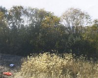 РАХАТГЕЙТ: Версия полковника Аубакирова 