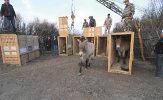 Одичать, чтобы выжить