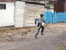 Побег
