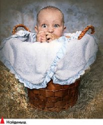 Куколка станет бабочкой