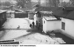 На дне