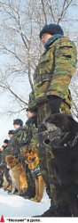 Жертвы “апорта”