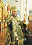 Из Костромы - с образом Богородицы