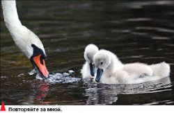 Самурай смотрит в мир