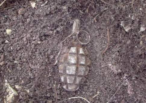 Полицейские ВКО взорвали гранату во дворе жилого дома 
