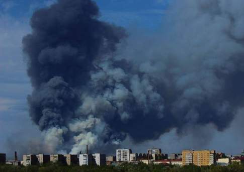 Жара в сосновом бору