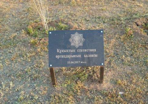 Посадили  и забыли