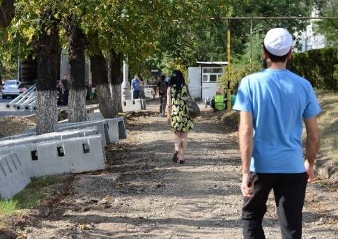 Дорогу не осилит идущий...