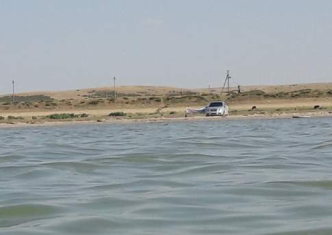 Ни воды, ни рыбы