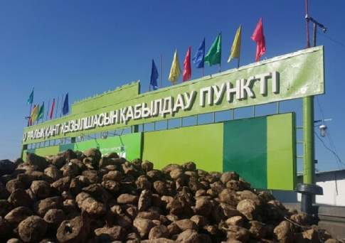 Сладкий груз правительства