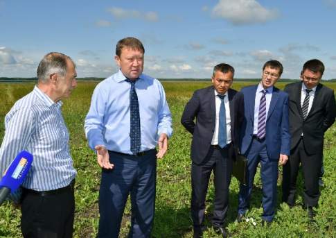 Показатели растут, урожайность - падает