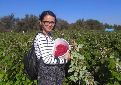 Ягода-малина летом в гости звала