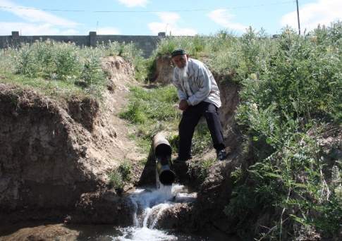 Пофигизм чистой воды
