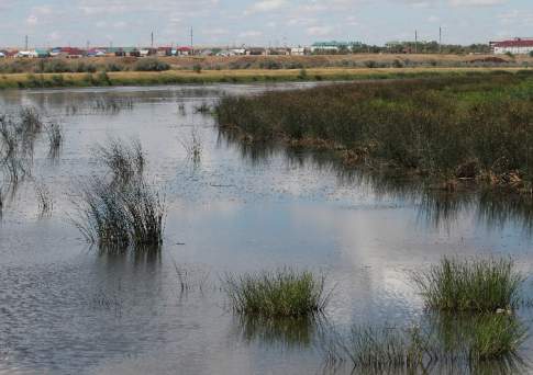 Клоака замедленного действия