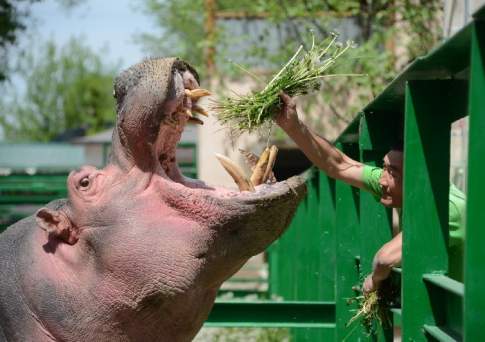 Студенческий подряд