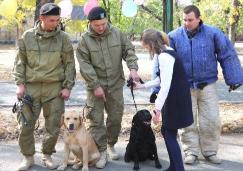 Псы особого назначения