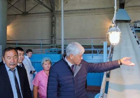 Сладкая модернизация