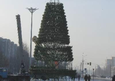 И хвоя нынче не та...