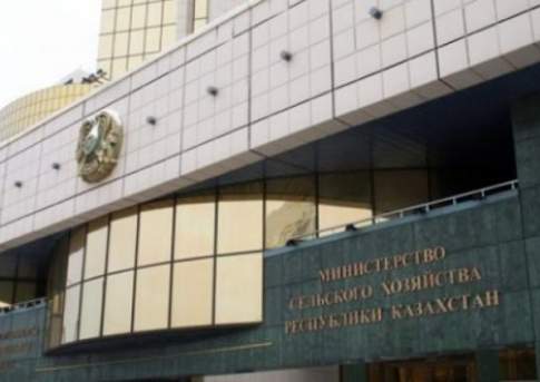 Ухвати пустырь  у государства