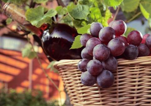 In vino veritas 